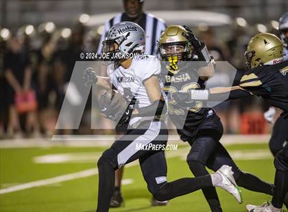 Thumbnail 2 in Basha vs Hamilton photogallery.