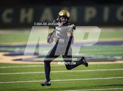 Thumbnail 2 in Basha vs Hamilton photogallery.