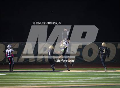 Thumbnail 3 in Basha vs Hamilton photogallery.