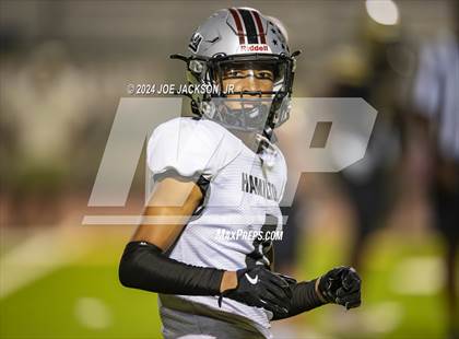 Thumbnail 2 in Basha vs Hamilton photogallery.