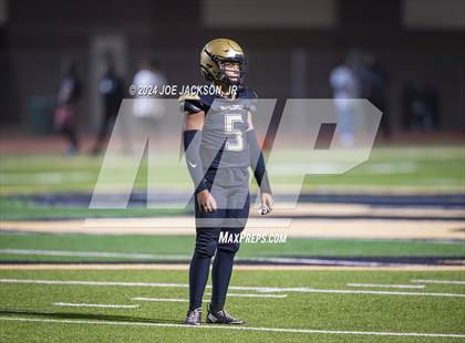 Thumbnail 2 in Basha vs Hamilton photogallery.