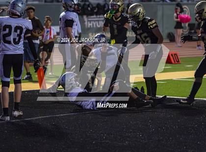 Thumbnail 2 in Basha vs Hamilton photogallery.