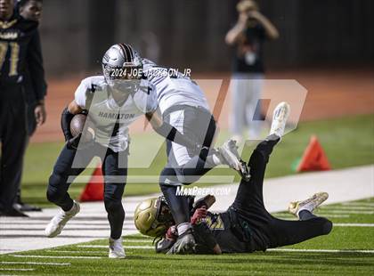 Thumbnail 2 in Basha vs Hamilton photogallery.