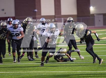 Thumbnail 3 in Basha vs Hamilton photogallery.