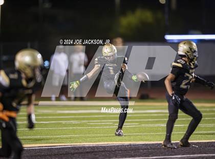 Thumbnail 3 in Basha vs Hamilton photogallery.