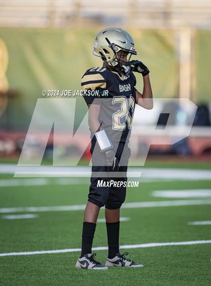 Thumbnail 2 in Basha vs Hamilton photogallery.