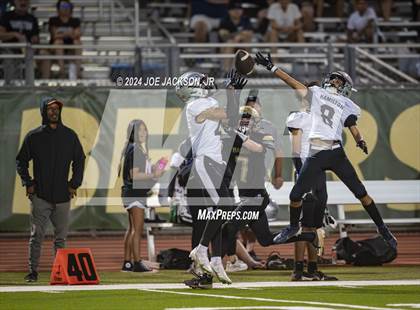 Thumbnail 3 in Basha vs Hamilton photogallery.