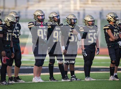 Thumbnail 3 in Basha vs Hamilton photogallery.