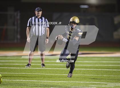 Thumbnail 1 in Basha vs Hamilton photogallery.