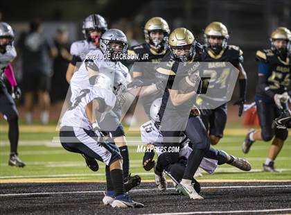 Thumbnail 3 in Basha vs Hamilton photogallery.
