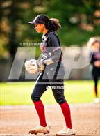 Photo from the gallery "Rio Americano @ Laguna Creek"