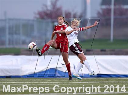 Thumbnail 1 in Ponderosa vs. Durango (CHSAA 4A Playoff First Round) photogallery.