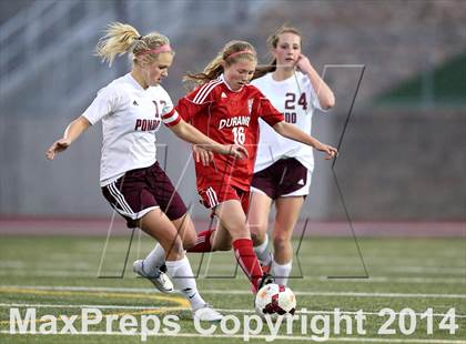 Thumbnail 1 in Ponderosa vs. Durango (CHSAA 4A Playoff First Round) photogallery.