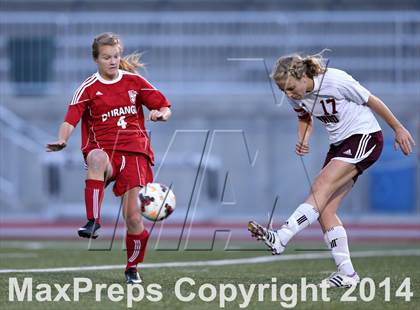 Thumbnail 1 in Ponderosa vs. Durango (CHSAA 4A Playoff First Round) photogallery.