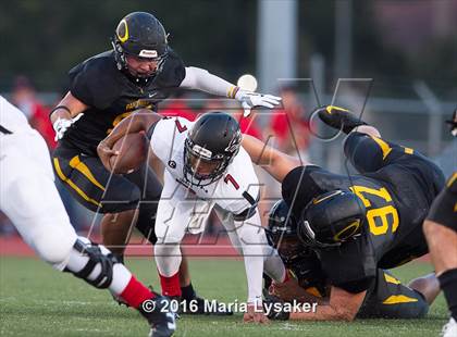 Thumbnail 1 in Langham Creek @ Klein Oak photogallery.