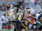 Photo from the gallery "Naaman Forest @ Garland"