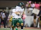 Photo from the gallery "Naaman Forest @ Garland"