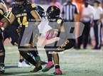Photo from the gallery "Naaman Forest @ Garland"