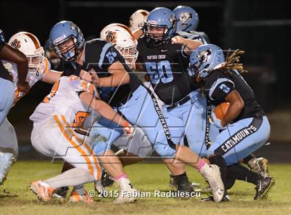 Thumbnail 1 in Fuquay-Varina @ Panther Creek photogallery.