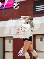 Photo from the gallery "Page @ Franklin"