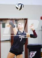 Photo from the gallery "Page @ Franklin"