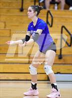 Photo from the gallery "Page @ Franklin"