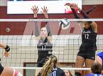 Photo from the gallery "Page @ Franklin"