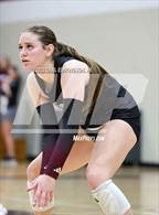 Photo from the gallery "Page @ Franklin"