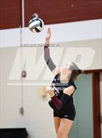 Photo from the gallery "Page @ Franklin"