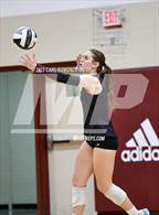 Photo from the gallery "Page @ Franklin"