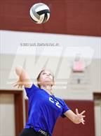 Photo from the gallery "Page @ Franklin"