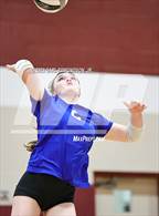 Photo from the gallery "Page @ Franklin"