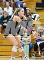Photo from the gallery "Page @ Franklin"