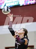 Photo from the gallery "Page @ Franklin"