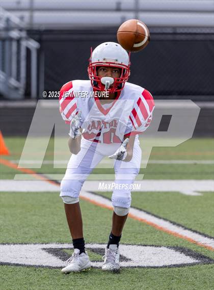 Thumbnail 2 in FR: Canton @ Brighton photogallery.