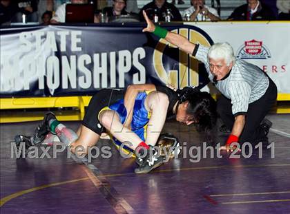 Thumbnail 3 in CIF State Girls Wrestling Championships (Finals) photogallery.
