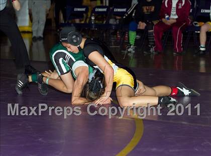 Thumbnail 3 in CIF State Girls Wrestling Championships (Finals) photogallery.