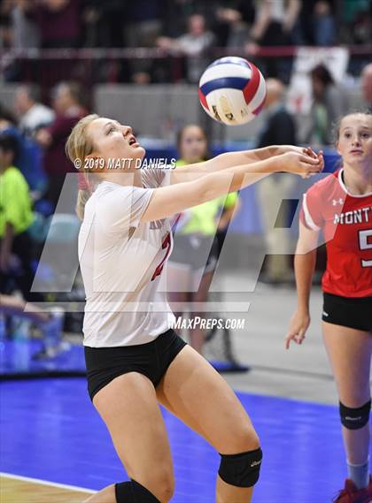 Thumbnail 1 in Cheyenne Mountain vs. Montrose (CHSAA 4A Playoff) photogallery.