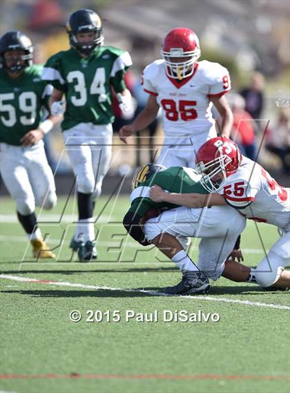 Thumbnail 3 in Regis Jesuit @ Mountain Vista photogallery.