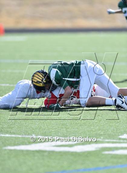 Thumbnail 1 in Regis Jesuit @ Mountain Vista photogallery.