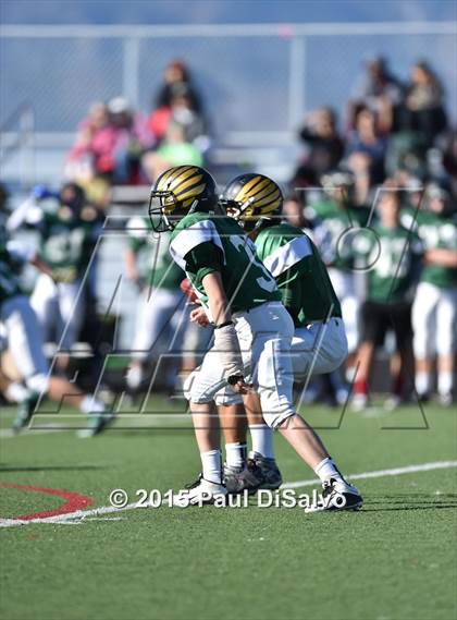Thumbnail 2 in Regis Jesuit @ Mountain Vista photogallery.