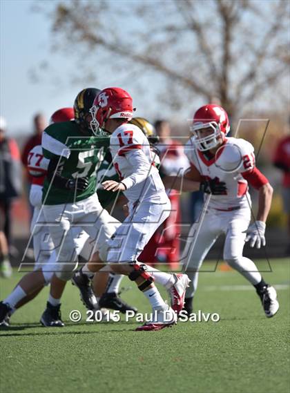 Thumbnail 1 in Regis Jesuit @ Mountain Vista photogallery.