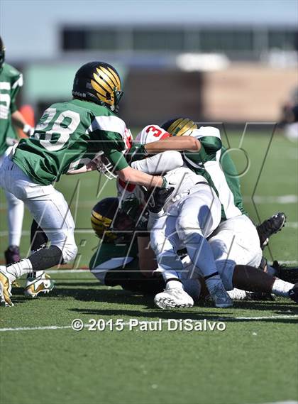 Thumbnail 1 in Regis Jesuit @ Mountain Vista photogallery.