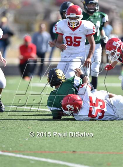 Thumbnail 1 in Regis Jesuit @ Mountain Vista photogallery.
