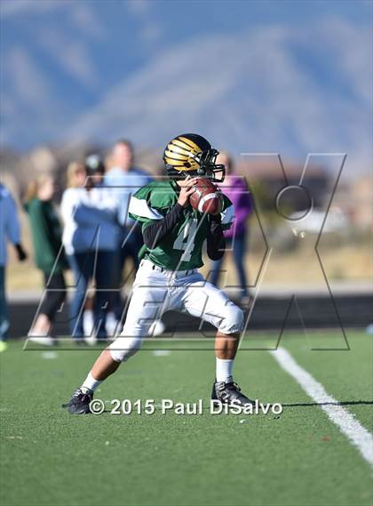 Thumbnail 3 in Regis Jesuit @ Mountain Vista photogallery.