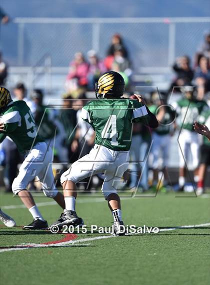 Thumbnail 3 in Regis Jesuit @ Mountain Vista photogallery.