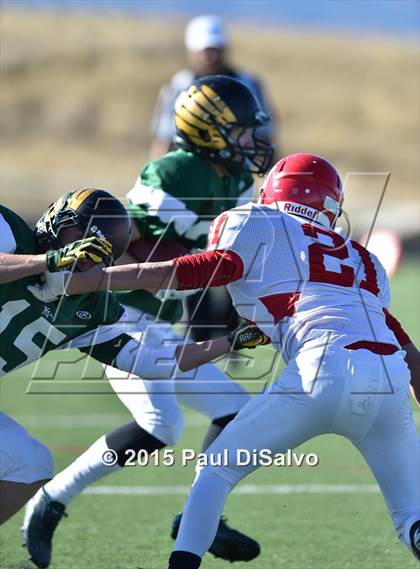 Thumbnail 3 in Regis Jesuit @ Mountain Vista photogallery.