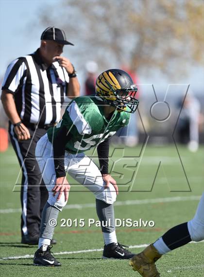 Thumbnail 3 in Regis Jesuit @ Mountain Vista photogallery.