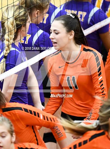Thumbnail 2 in Godley @ Aledo photogallery.