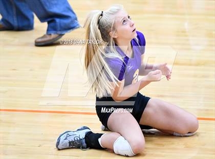 Thumbnail 2 in Godley @ Aledo photogallery.
